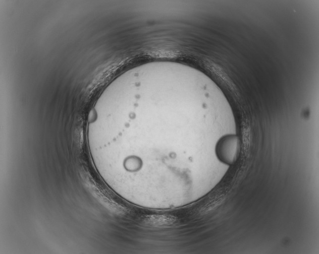 X0000115680541200912031421