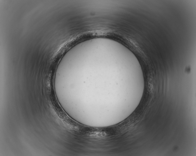 X0000115680543200912031421