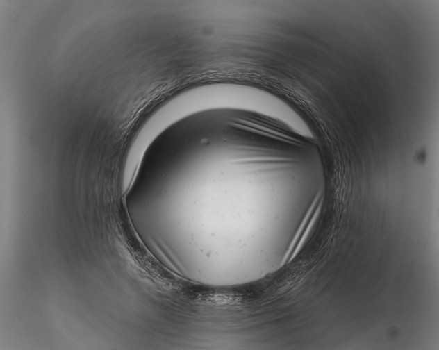 X0000115680546200912031422