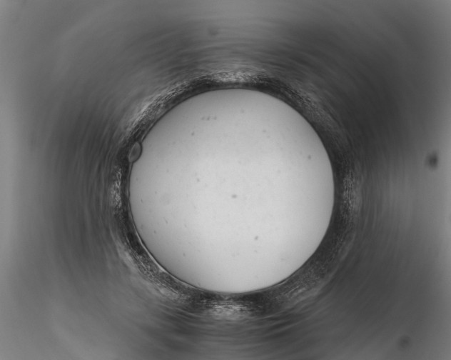 X0000115680547200912031422