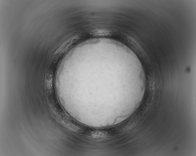 X0000115680549200912031422