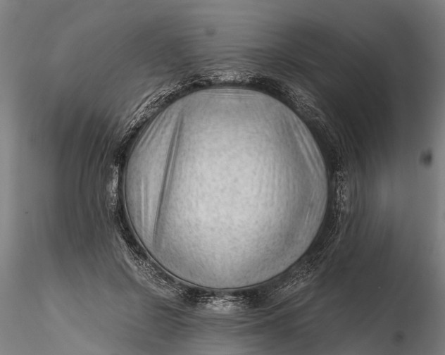 X0000115680550200912031422