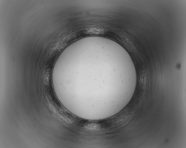 X0000115680551200912031422