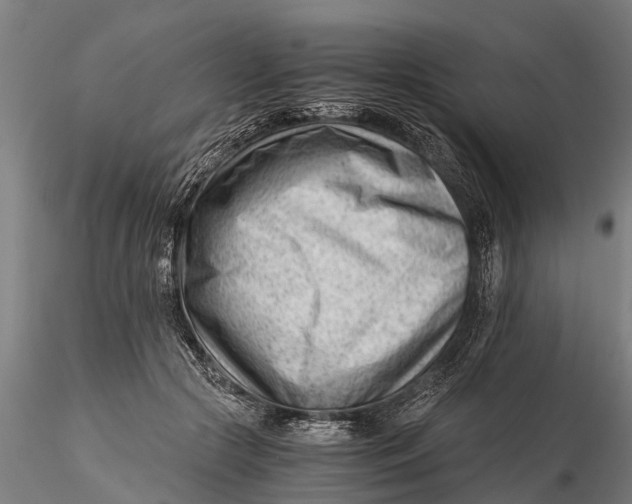 X0000115680553200912031422