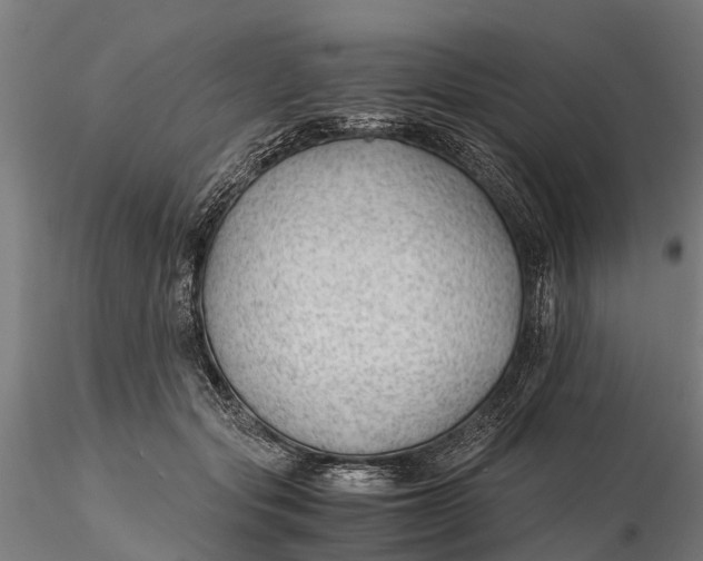 X0000115680557200912031422