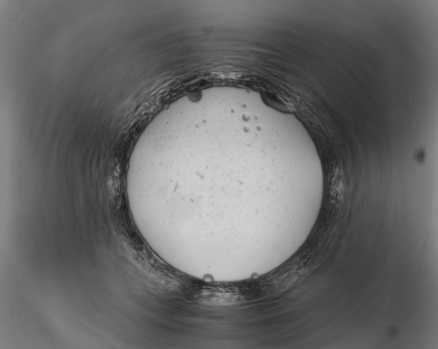 X0000115680559200912031422