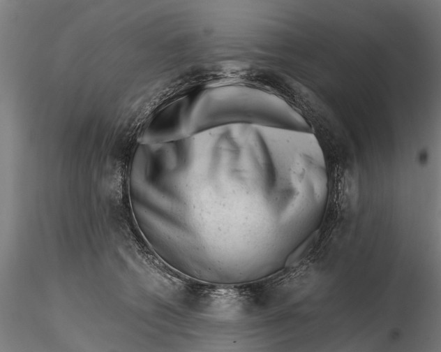 X0000115680562200912031422