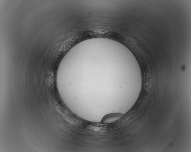 X0000115680563200912031422