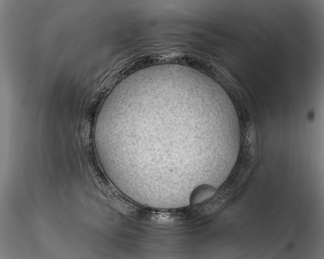 X0000115680565200912031422