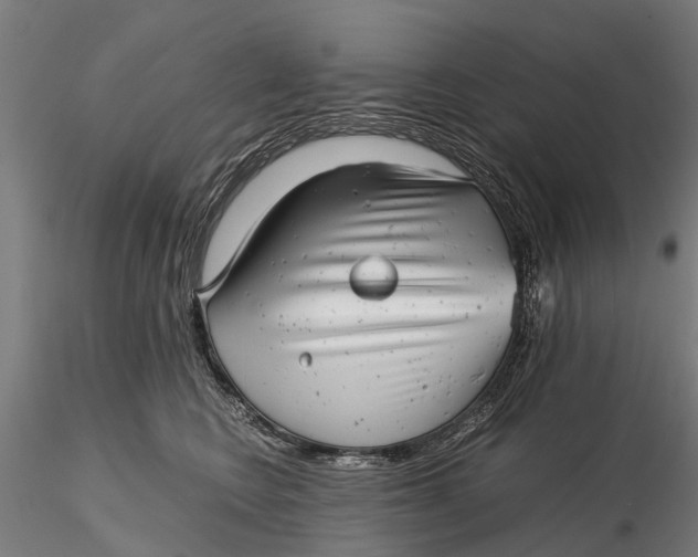 X0000115680566200912031422