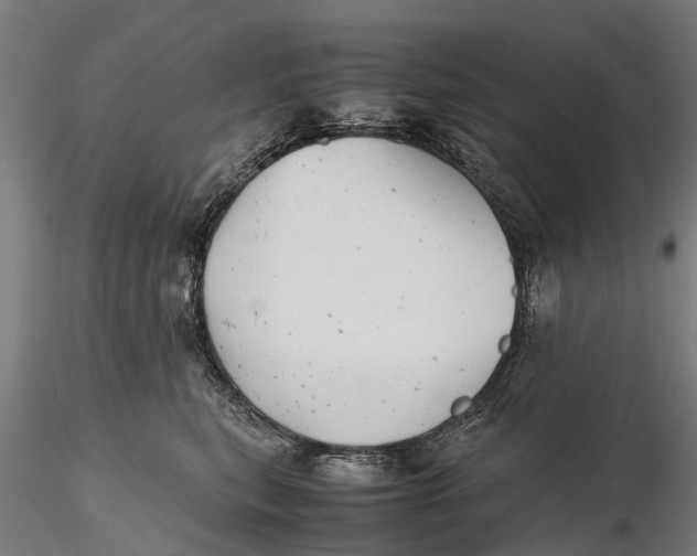 X0000115680567200912031422