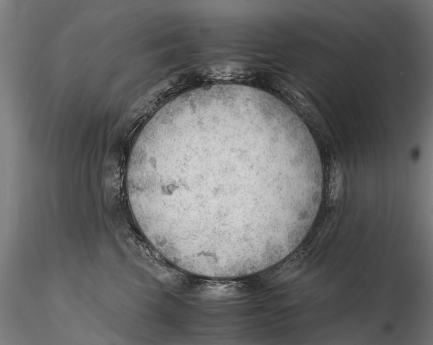 X0000115680569200912031422