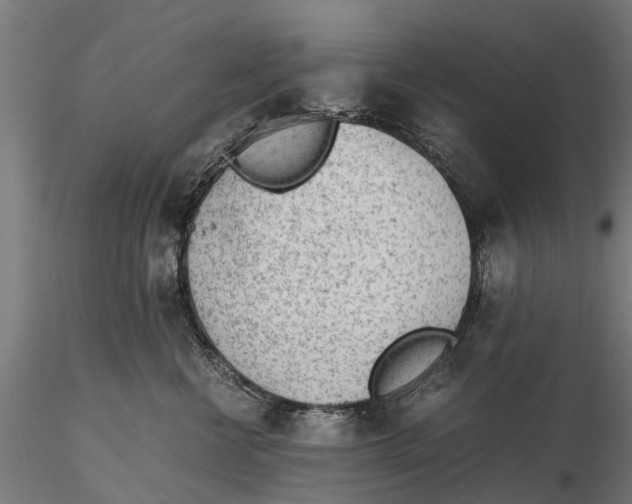 X0000115680570200912031422