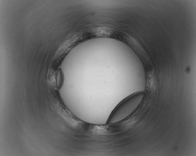 X0000115680573200912031422