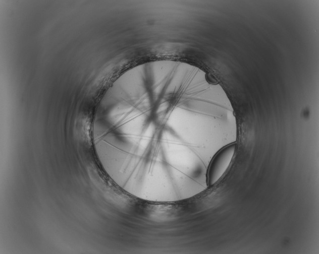 X0000115680575200912031422