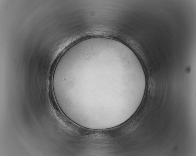 X0000115680578200912031421