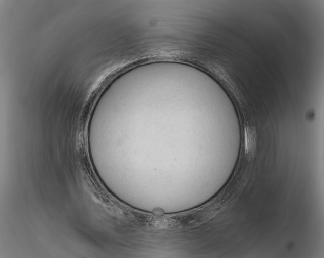 X0000115680579200912031421