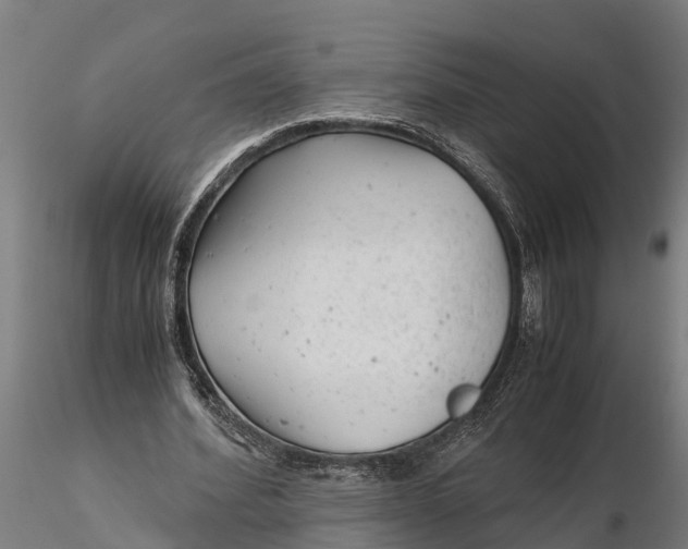 X0000115680580200912031421