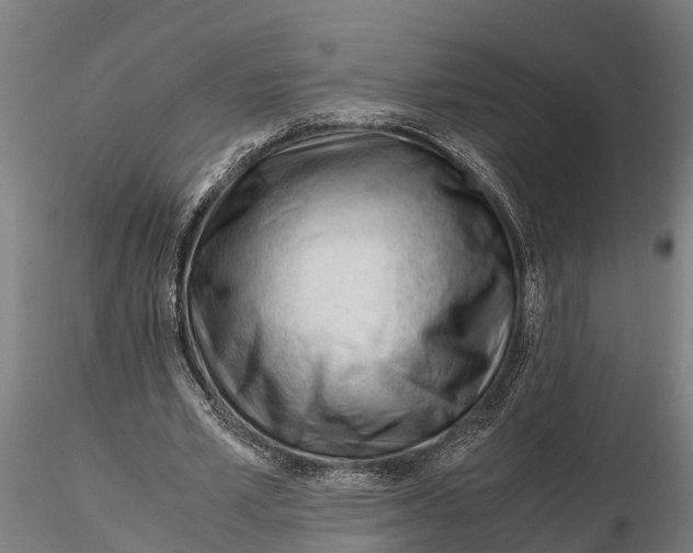 X0000115680581200912031421