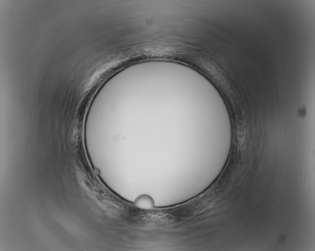 X0000115680583200912031421