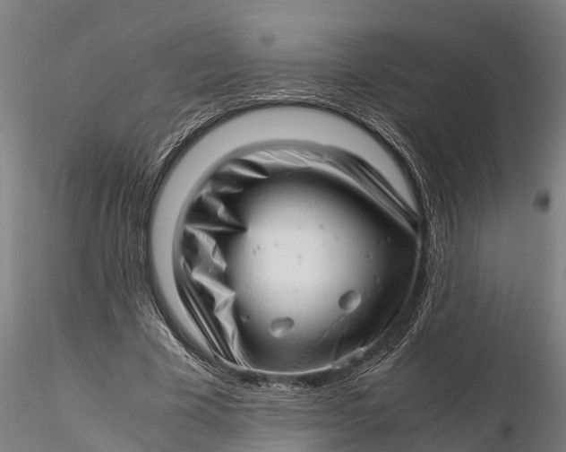 X0000115680585200912031421