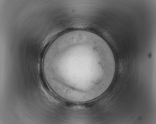 X0000115680586200912031421