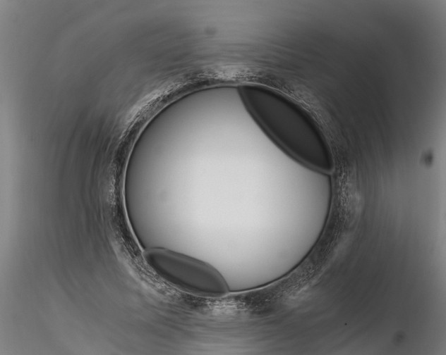 X0000115680587200912031421