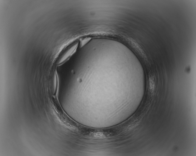 X0000115680588200912031421