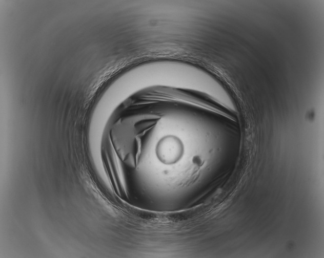 X0000115680589200912031421