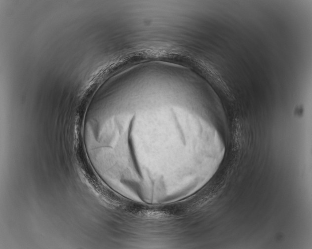 X0000115680590200912031421