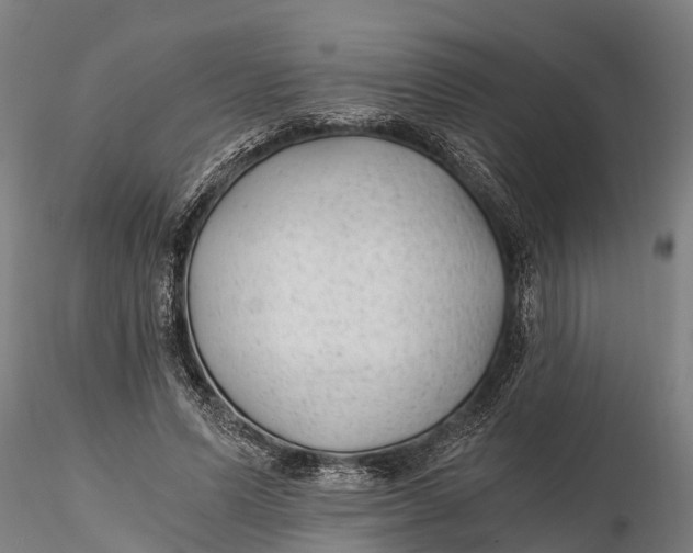 X0000115680591200912031421