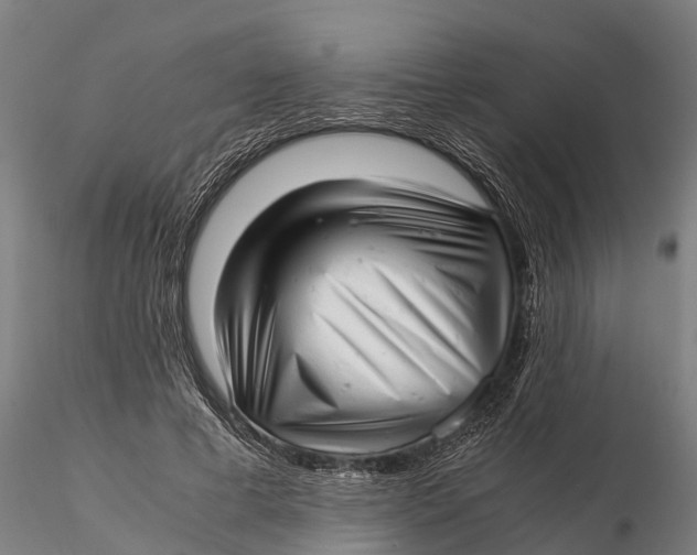 X0000115680593200912031421