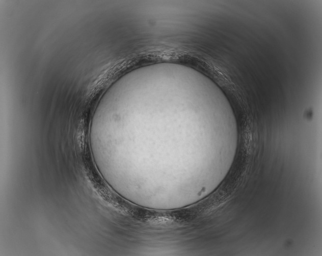 X0000115680594200912031421