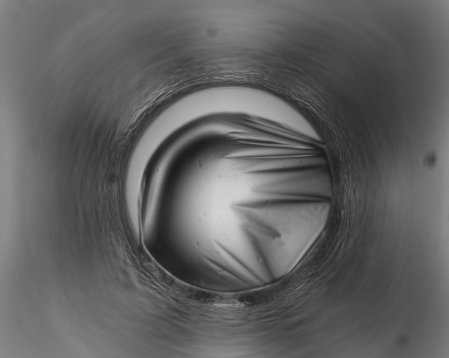 X0000115680595200912031421