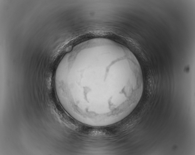 X0000115680596200912031421