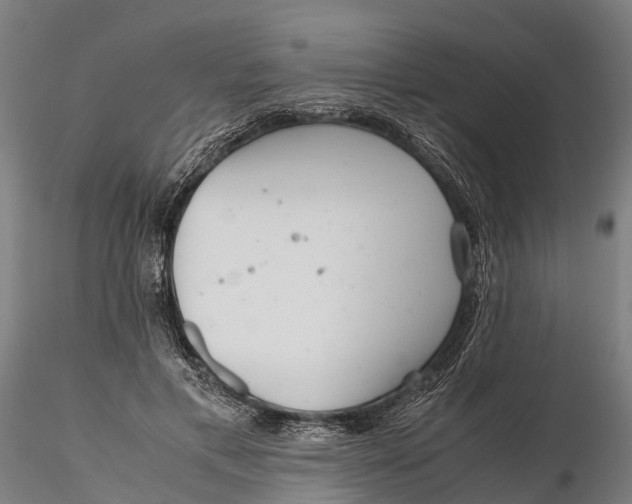 X0000115680597200912031421