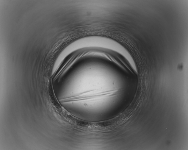 X0000115680599200912031421