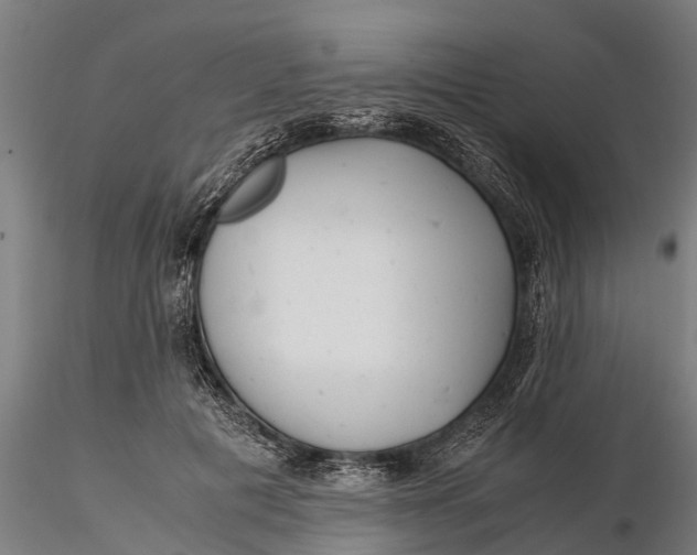 X0000115680601200912031421