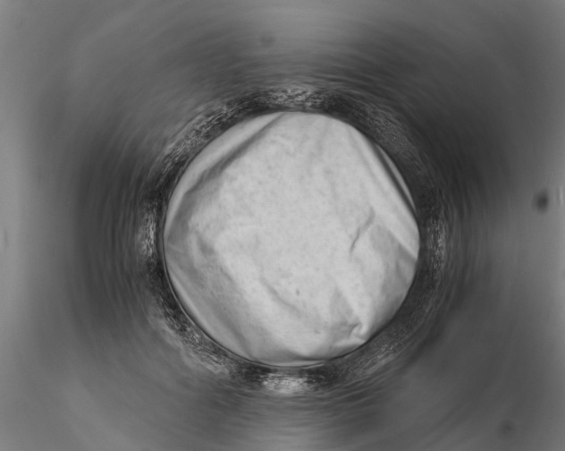 X0000115680602200912031421