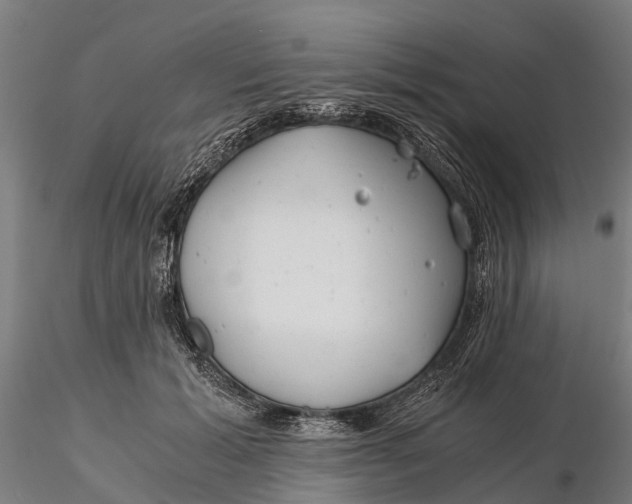 X0000115680605200912031421