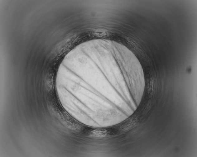 X0000115680606200912031421