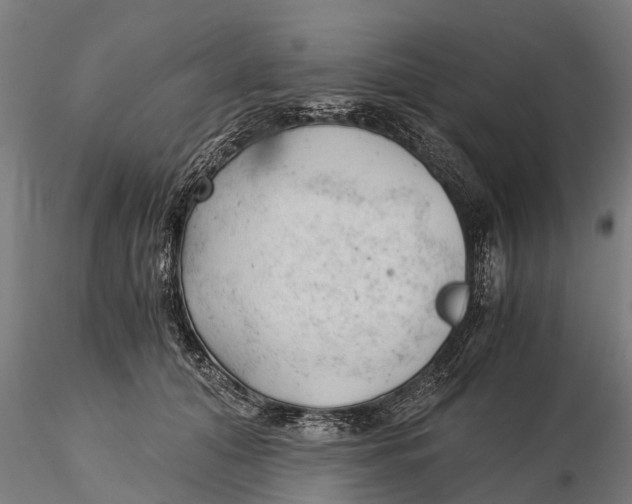 X0000115680608200912031421