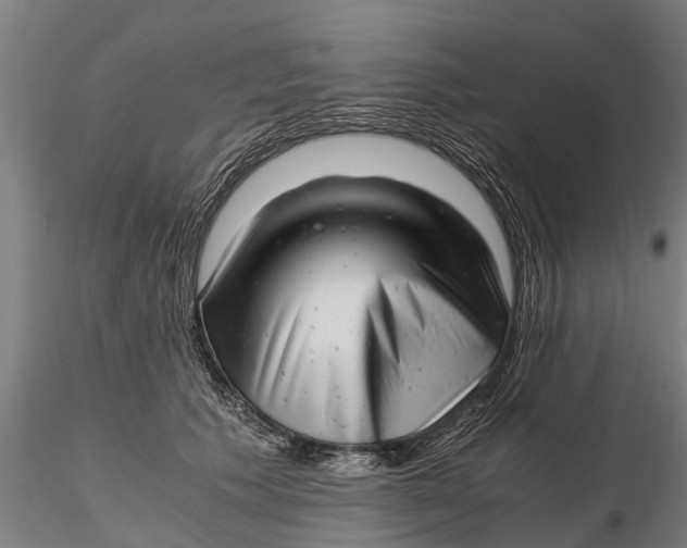 X0000115680609200912031421