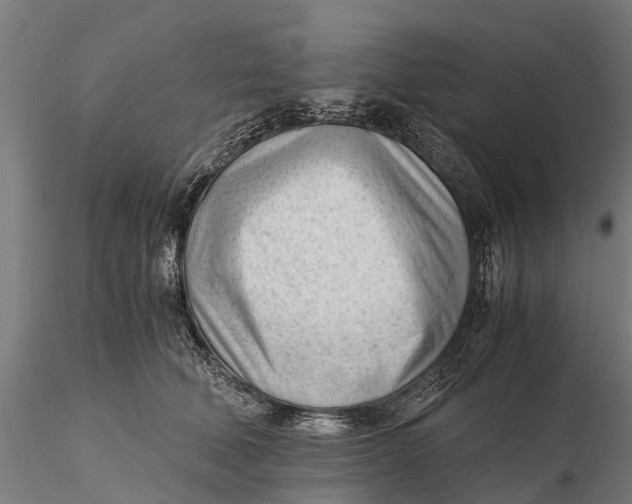 X0000115680610200912031421