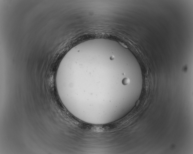 X0000115680613200912031421