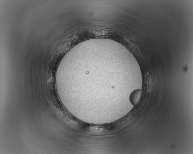 X0000115680614200912031421