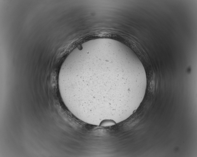 X0000115680620200912031421