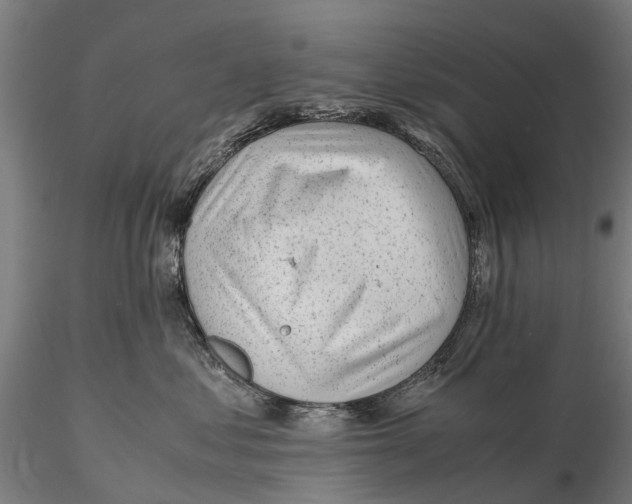 X0000115680621200912031421