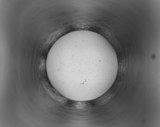 X0000115680623200912031421