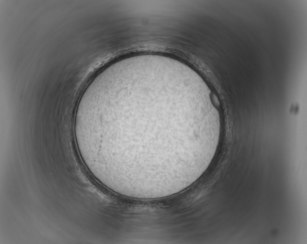 X0000115680625200912031420